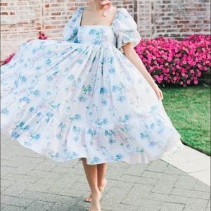 Selkie Puff Sleeve Modi Dress